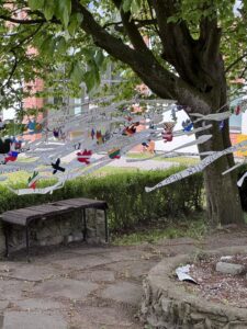 IMG_0408