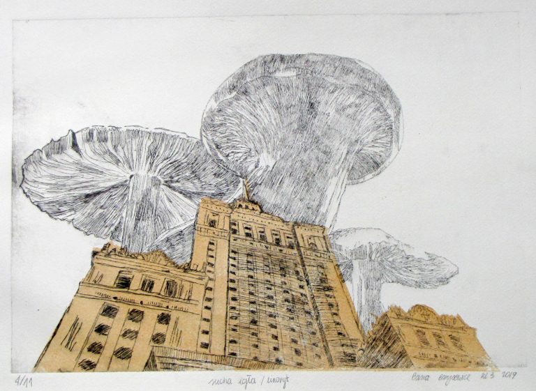 basia borysewicz kl iii sucha igła linoryt