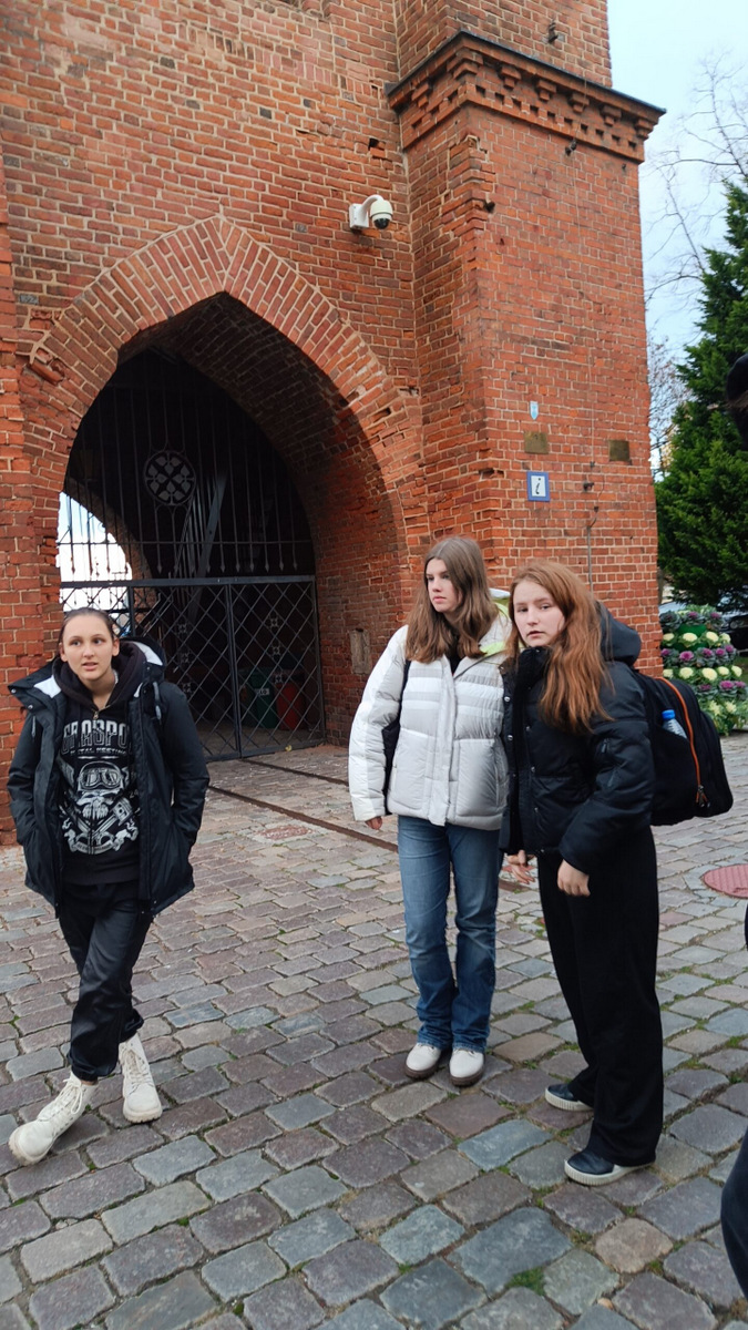 img20241118152716 scaled