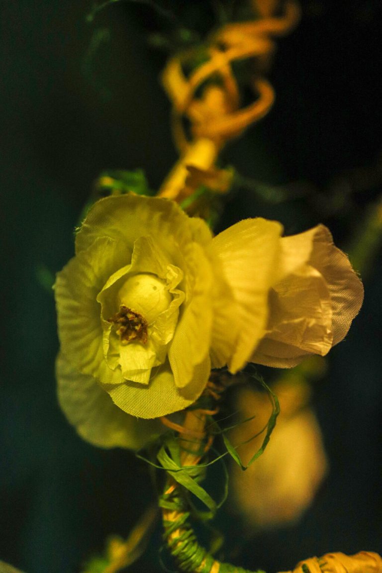 martyna chodorowska 5 1024x1536