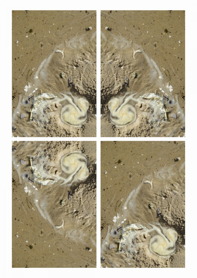 wiktoria kiniksman 2