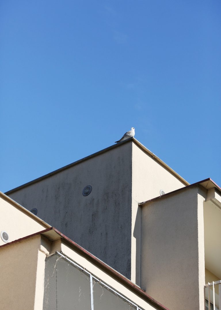 kacper zaradkiewicz miejskie formy 4