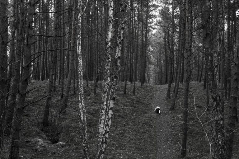 maria piasecka koe 2018 2019 3