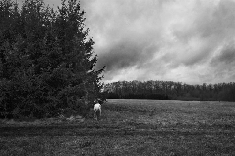 maria piasecka koe 2018 2019 4