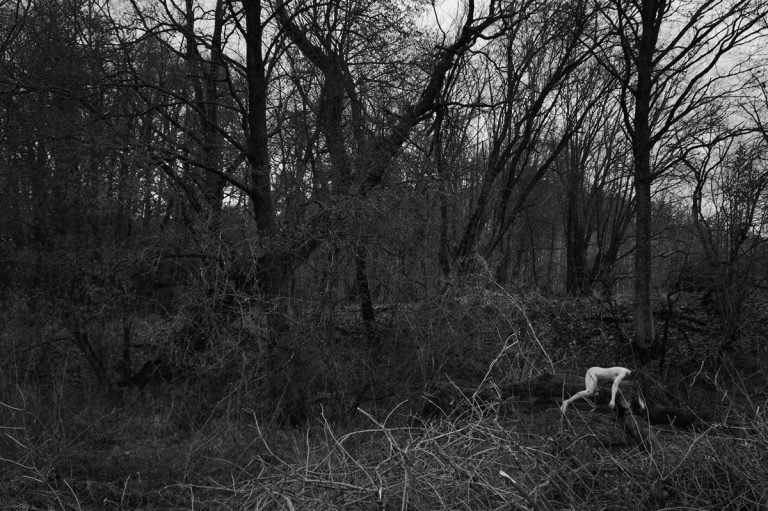 maria piasecka koe 2018 2019 5