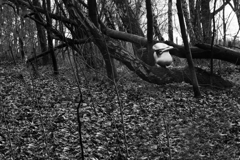 maria piasecka koe 2018 2019 6