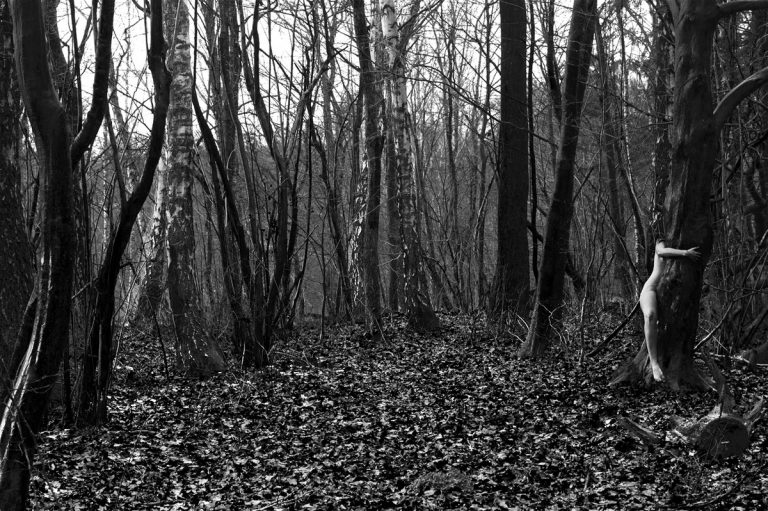 maria piasecka koe 2018 2019 7