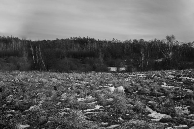 maria piasecka koe 2018 2019 8