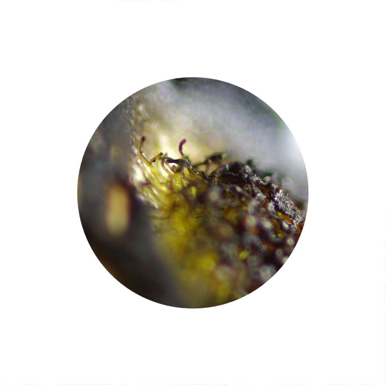 zuzanna adamkiewicz płonące abstrakcje 12