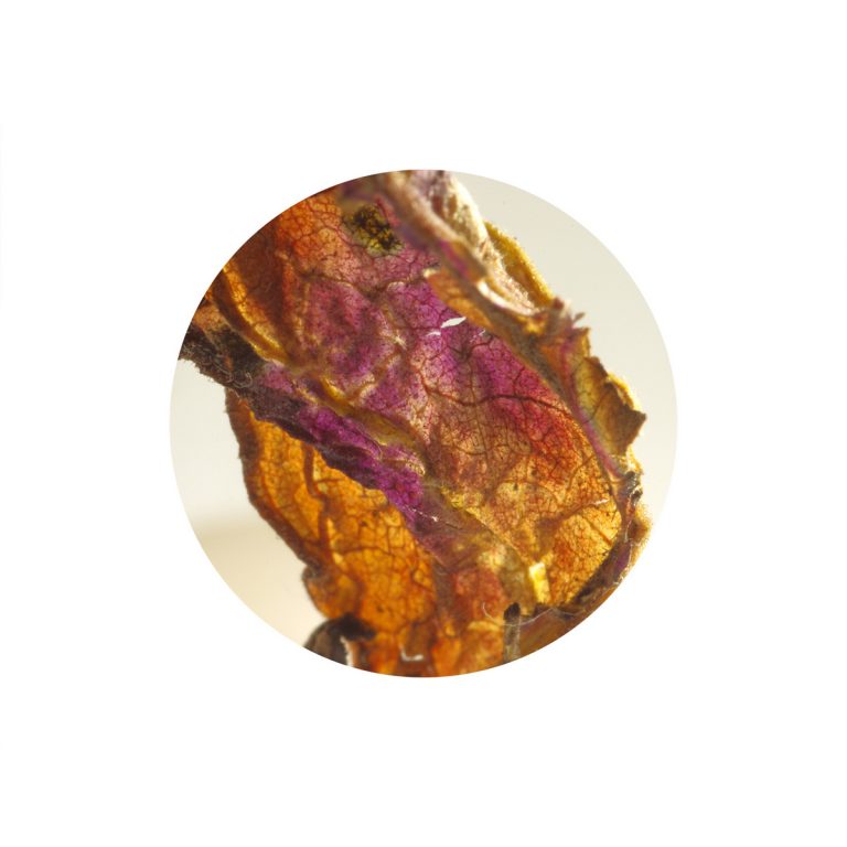 zuzanna adamkiewicz płonące abstrakcje 16