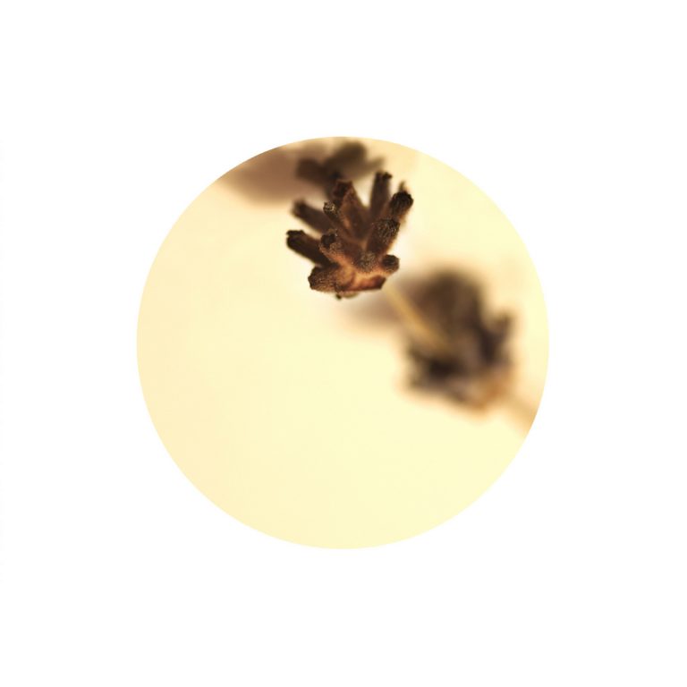 zuzanna adamkiewicz płonące abstrakcje 20