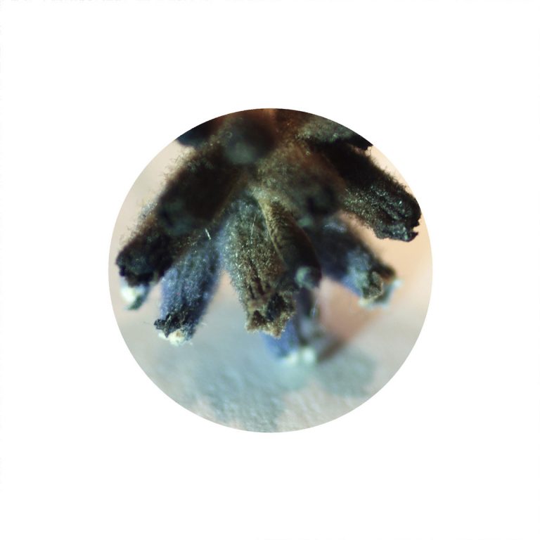 zuzanna adamkiewicz płonące abstrakcje 21