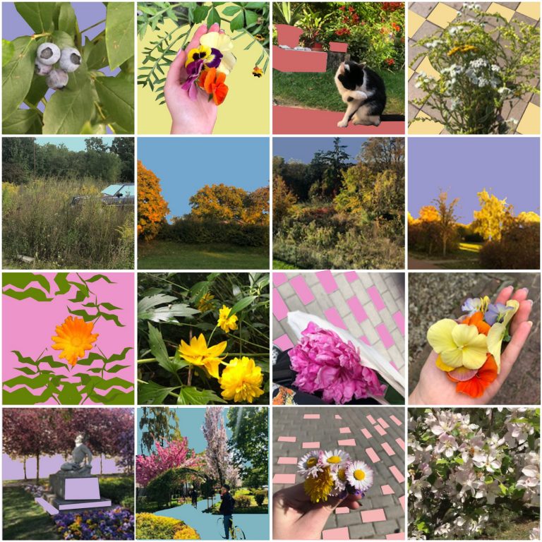 projektowanie multimedialne (11)