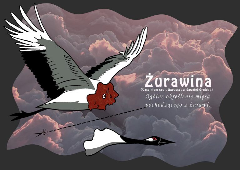 projektowanie multimedialne (23)