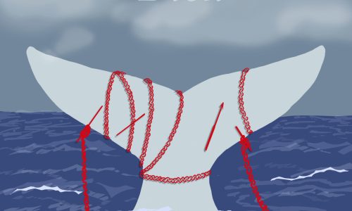 mobydick ameliazurawska 1 scaled