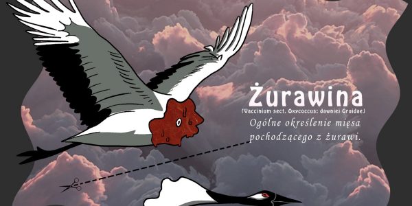 projektowanie multimedialne (23)