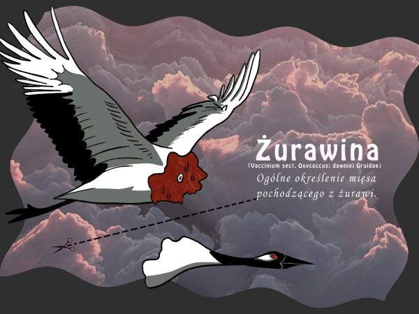 projektowanie multimedialne (23)